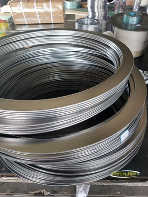 Hoogtemperatuur O-ring SS304 SS316 Grafietverpakking Spiraalwond afdichting flenspakkingen